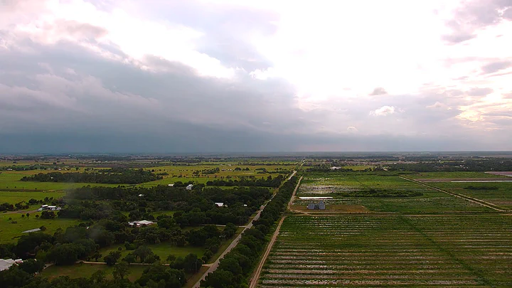 Live weather-camera view from the Streamline Internet tower in Felda, Florida, installed by Vertical Axis