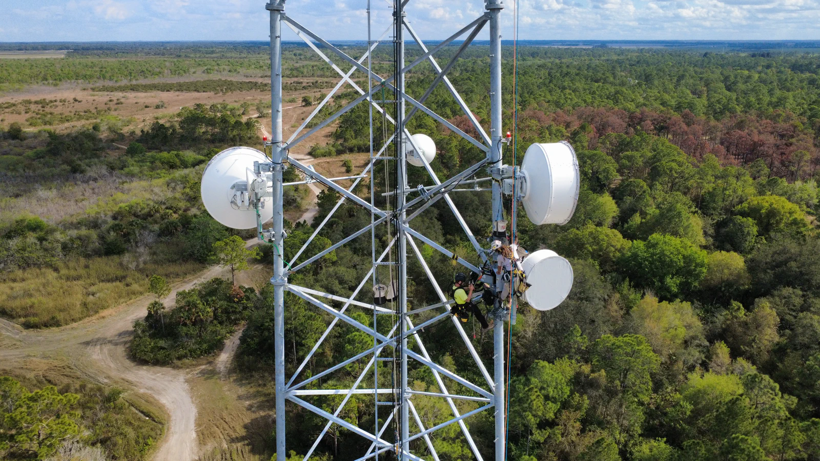 Drone view of a Vertical Axis self-supporting lattice tower loaded with four backhaul dishes and sector antennas, two climbers rigged at the array working the aim, rural pine forest stretching to the horizon