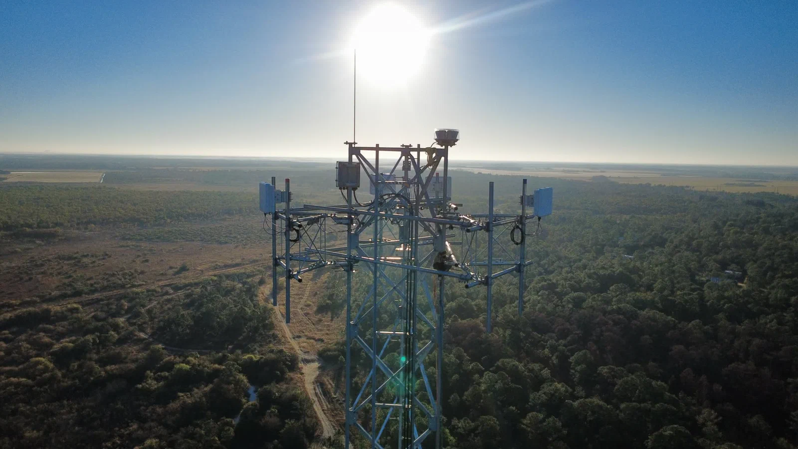 Drone view of a Vertical Axis self-supporting lattice tower loaded with four backhaul dishes and sector antennas, two climbers rigged at the array working the aim, rural pine forest stretching to the horizon